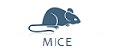 Mice