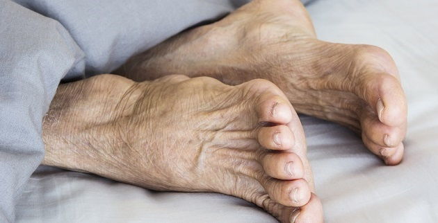 Scientific aging research Scientific aging research